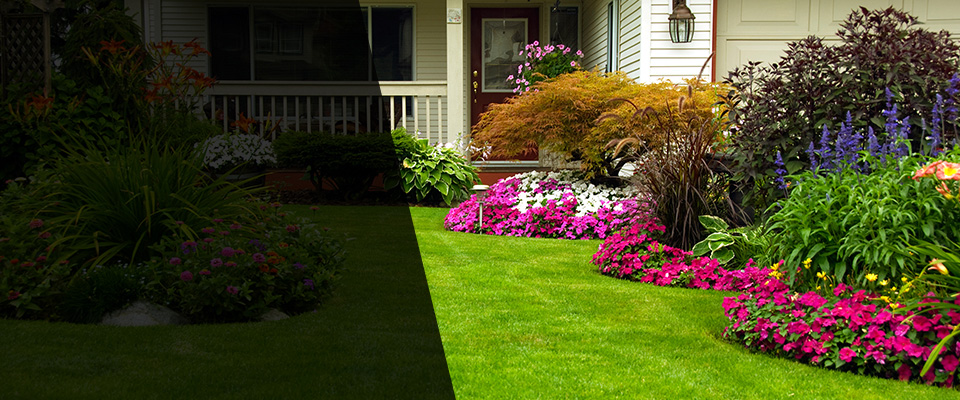 Islamorada Landscapers