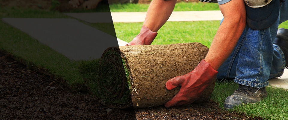 Islamorada Landscapers